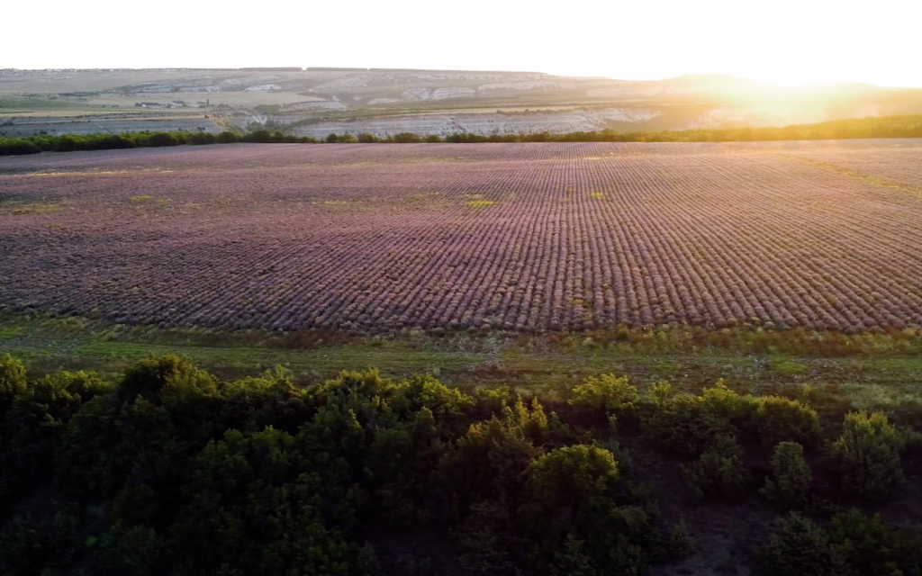 Il faut sauver la Provence